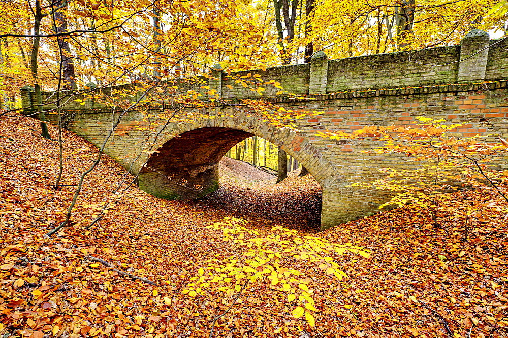 Bridge in the Glienicker Park in autumn, Berlin, Germany, Europe