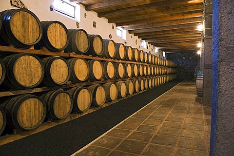 Wine barrels in wine cellar, winery, Bodega, La Geria, Lanzarote, Canary Islands, Spain, Europe