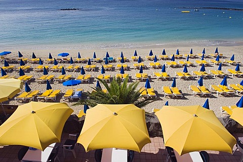 Yellow sun umbrellas on a sandy beach, Playa Dorada, Playa Blanca, Lanzarote, Canary Islands, Spain, Europe