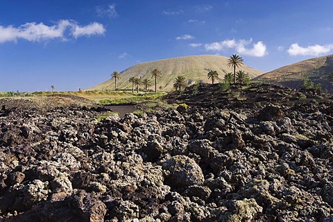 Volcanic landscape near Uga, Lanzarote, Canary Islands, Spain, Europe