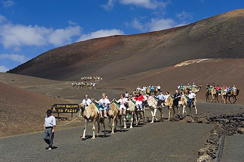 Tourists riding camels in Montana del Fuego de Timanfaya National Park, Lanzarote, Canary Islands, Spain, Europe