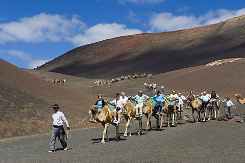 Tourists riding camels in Montana del Fuego de Timanfaya National Park, Lanzarote, Canary Islands, Spain, Europe