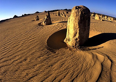 Rock formation The Pinnacles, Nambung National Park, Western Australia, Australia