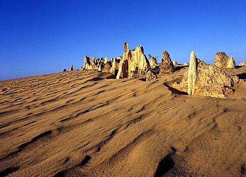 Rock formation The Pinnacles, Nambung National Park, Western Australia, Australia