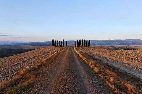 Gravel road leading to a gate of cypress trees in wide Tuscanian landscape, late afternoon, Orcia Valley, Tuscany, Italy, Europe