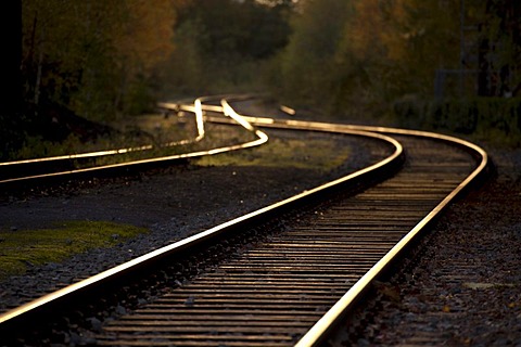 Disused railway track in Duisburg-Nord Landscape Park, Duisburg, Ruhr Area, North Rhine-Westphalia, Germany, Europe