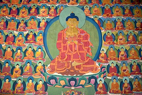 Tibetan Buddhism, wall painting, meditating Buddha, many small Buddhas, Chemre Gompa Monastery, Chemrey, Ladakh region, Jammu and Kashmir, India, South Asia