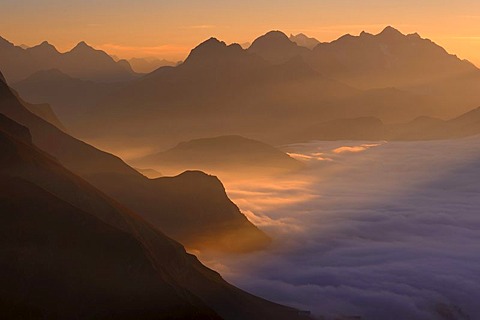 Mountain valley under fog with mountain peaks in the evening light, Allgaeu Alps, Kleinwalsertal valley, Vorarlberg, Austria, Europe