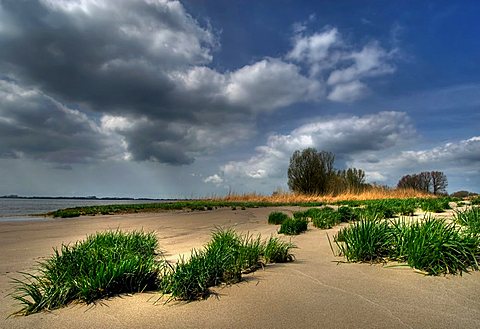 Atmospheric light on the bank of the River Elbe near Kollmar, Schleswig-Holstein, Germany, Europe