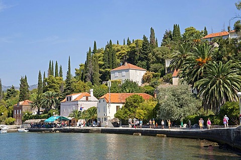 Village on Kolocep Island near Dubrovnik, Elaphiti or Elafiti islands, Southern Dalmatia, Adriatic Coast, Croatia, Europe