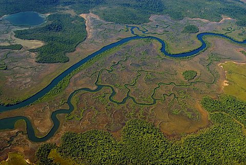 Aerial shot of a meandering river, Belize, Central America