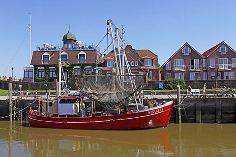 Shrimp boat, Neuharlingersiel fishing port, East Frisia, Lower Saxony, Germany, Europe