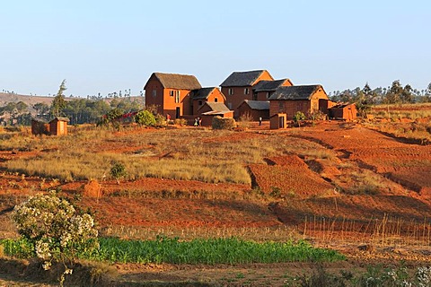 Typical village in the highlands around Antananarivo or Tana, formerly Tananarive, Madagascar, Africa