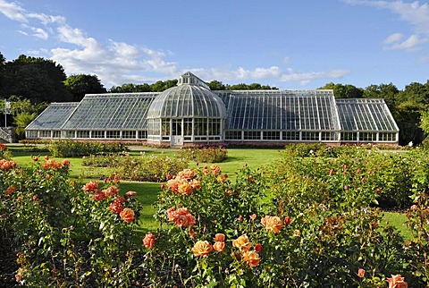 Victorian glass greenhouse in a rose garden in the park of Castle Ardgillan in Skerries, County Dublin, Republic of Ireland, Europe