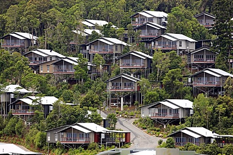 O'Reilly's Rainforest Retreat, Lamington National Park, Queensland, Australia