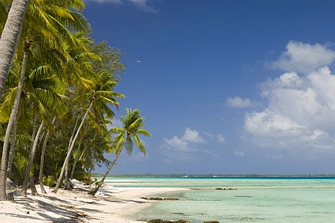 Tikehau coral atoll, Tuamotu Archipelago, French Polynesia, Pacific Ocean