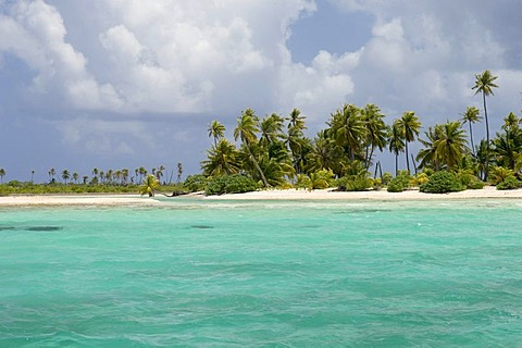 Tikehau coral atoll, Tuamotu Archipelago, French Polynesia, Pacific Ocean