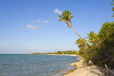 Tikehau coral atoll, Tuamotu Archipelago, French Polynesia, Pacific Ocean