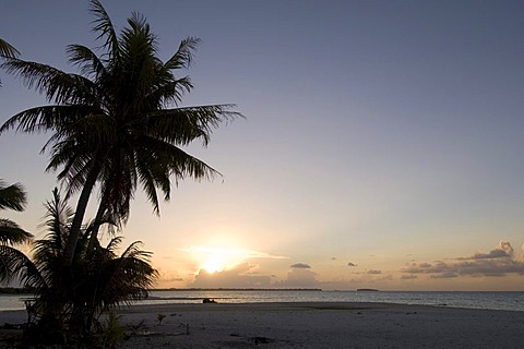 Tikehau coral atoll, Tuamotu Archipelago, French Polynesia, Pacific Ocean