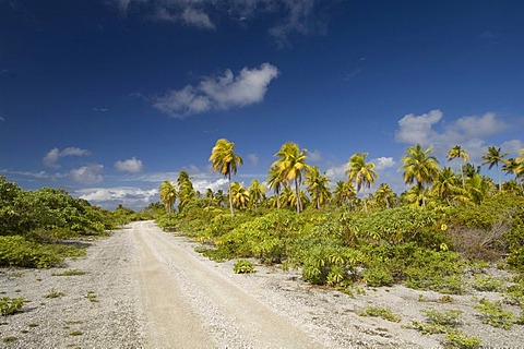 Gravel road, Fakarava, Havaiki-te-araro, Havai'i or Farea, Tuamotu Archipelago, French Polynesia, Pacific Ocean