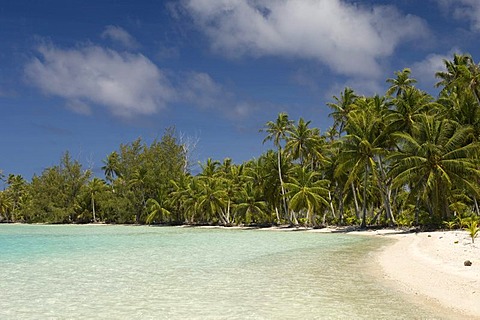 Beach, Fakarava, Havaiki-te-araro, Havai'i or Farea atoll, Tuamotu Archipelago, French Polynesia, Pacific Ocean