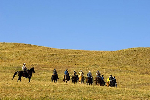 Cowboys at Bison Roundup, Custer State Park, Black Hills, South Dakota, USA, America