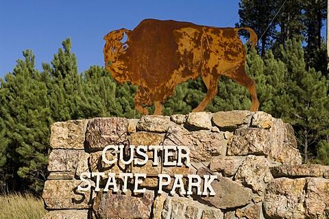 Custer State Park, Black Hills, South Dakota, USA, America