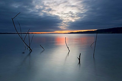 Sunrise on Lake Constance, Hoeri peninsula, Baden-Wuerttemberg, Germany, Europe