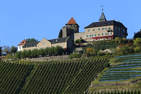 Schloss Eberstein castle in Gernsbach in the northern Black Forest, Baden-Wuerttemberg, Germany, Europe