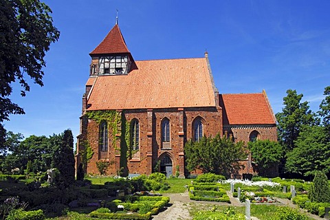 Marienkirche, St. Mary's Church, historic church from the 13th century, in Brandshagen, municipality of Sundhagen, Nordvorpommern district, Mecklenburg-Western Pomerania, Germany, Europe