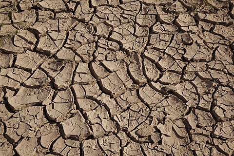 Dried and cracked mud along the Rio Grande, Big Bend National Park, Texas, USA