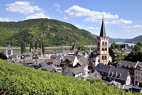 St. Peter's Church in Bacharach, UNESCO World Heritage Site, Upper Middle Rhine Valley, Bacharach, Rhineland Palatinate, Germany, Europe