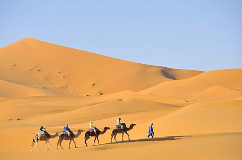 Camel trekking, Erg Chebbi, Morocco, Africa