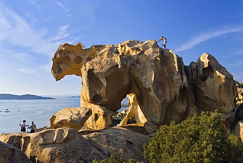 Rock formation Bearrock, Capo d'Orso, Mediterranean, Sardinia, Italy, Europe