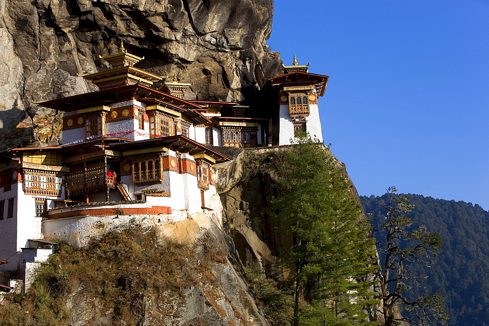 Taktsang Monastery, 3120m, also known as Tiger's Nest, Paro, Bhutan, Kingdom of Bhutan, South Asia