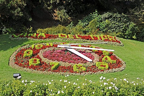 Floral clock, flowers, park, Vina del Mar, Chile, South America