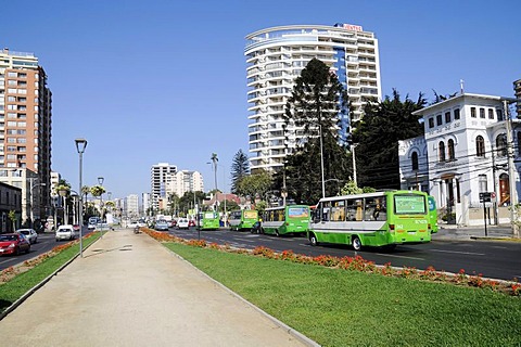 Buses, main street, traffic, Vina del Mar, Chile, South America