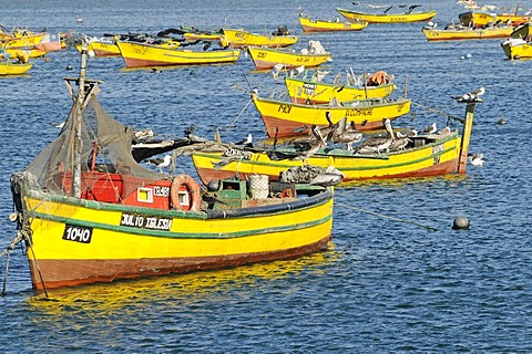 Colorful fishing boats, the sea, the harbor, Coquimbo, La Serena, Norte Chico, Northern Chile, Chile, South America