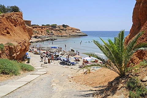 Cliffs, palm trees and bay, Sa Caleta, beach, Ibiza, Pityuses, Balearic Islands, Spain, Europe