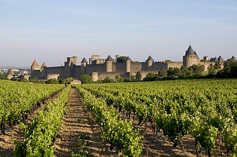 The castle of Carcassonne, Aude, France, Europe