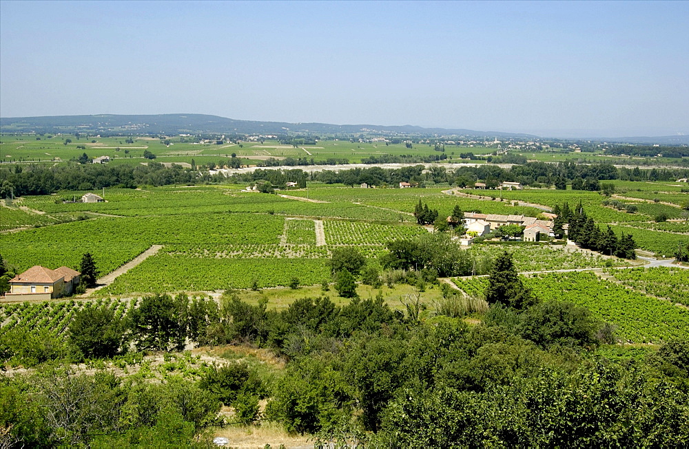 Cotes du Rhone, Provence, France, Europe