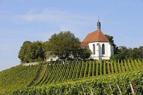 Church, Vogelsburg, Volkach, Bavaria, Germany, Europe