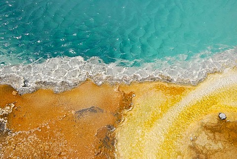 Detailed view of the Black Pool, West Thumb Geyser Basin, Yellowstone Lake, Yellowstone National Park, Teton County, Wyoming, USA