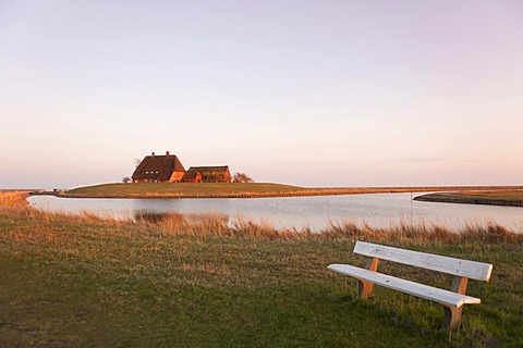 The Kirchwarft dwelling mound with the church and the pastorate in the evening light, Hallig Hooge Island, North Sea, Schleswig-Holstein's Wadden Sea National Park, UNESCO World Heritage Site, Northern Friesland, Northern Germany, Europe