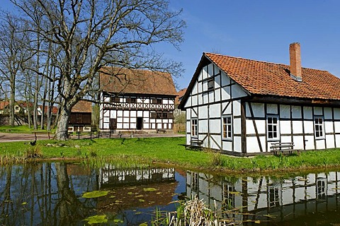 Museum of Henneberg, Kloster Vessra, Thuringia, Germany, Europe