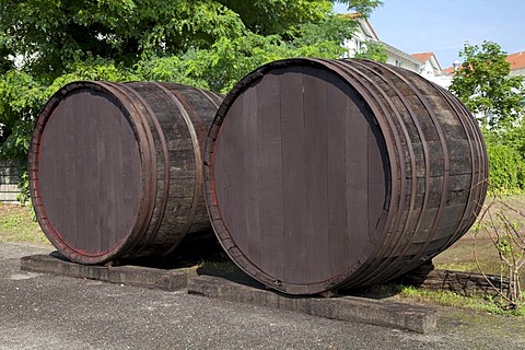 Wooden barrels, Luebben, Spreewald, Spree Forest, Brandenburg, Germany, Europe