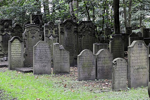 Graves, Jewish cemetery, Hanseatic City of Hamburg, Germany, Europe