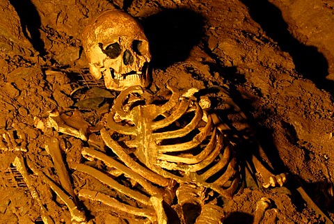 Skull and skeleton from the stone age, Cheddar Man Museum of Prehistory, Cheddar, Somerset, England, United Kingdom, Europe