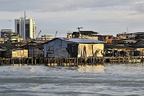 Poor dwellings, wooden stilt houses, mangrove area in the estuary of the Rio Anchicaya river in the Pacific at high tide, Bajamar slum, Buenaventura, Valle del Cauca, Colombia, South America