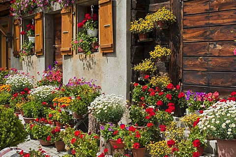 Cottage garden in front of a Valais Renaissance house, Geschinen, canton of Valais, Switzerland, Europe